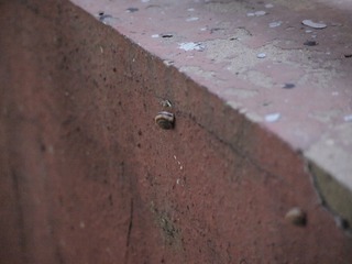 P8305441