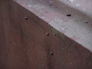 P8305440