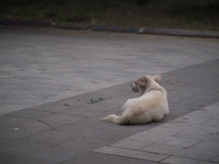 P9015457