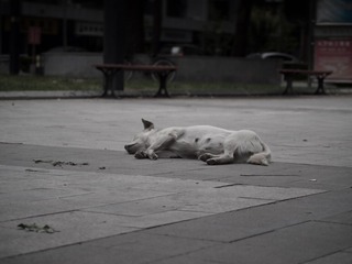P9015459