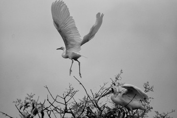 DSC00672-01