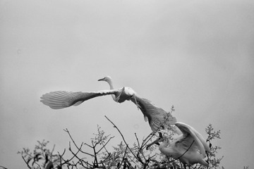 DSC00671-01