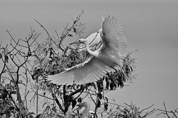 DSC00686-01