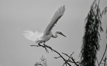 DSC00665-01