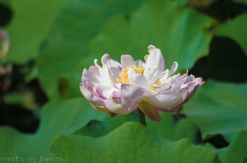 未命名-3301