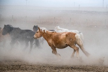 20180316-DSC_4283