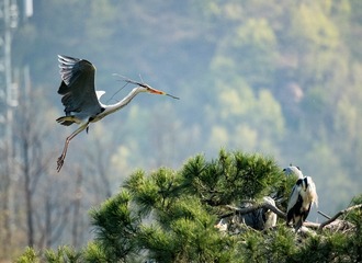 20180428-DSC_6530
