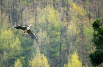 20180428-DSC_6500