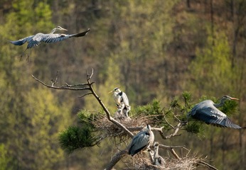 20180428-DSC_6608