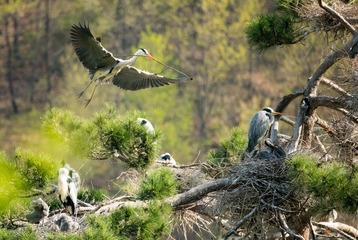 20180428-DSC_6619