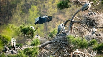 20180428-DSC_6623