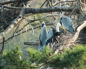 20180428-DSC_6348
