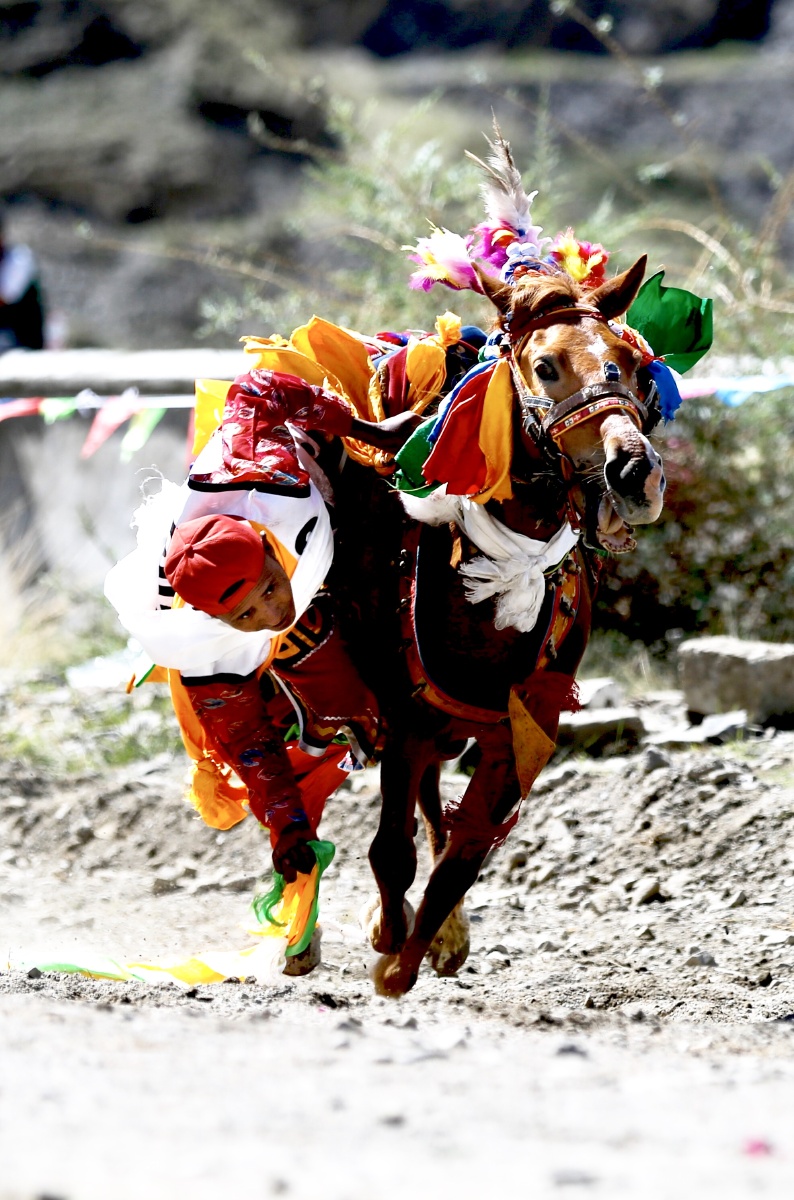 乘马捡哈达是藏族赛马的优秀项目之一