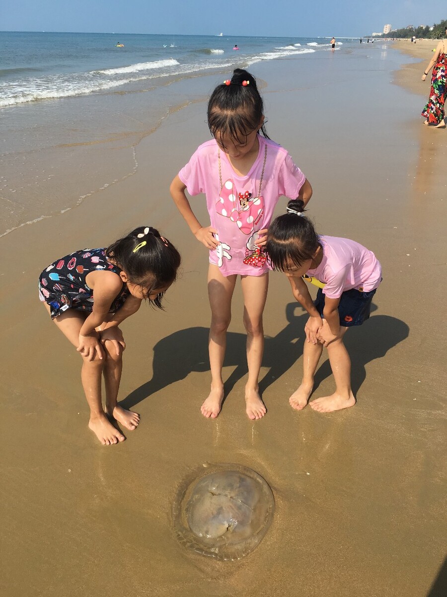 国内的海哪里好玩的