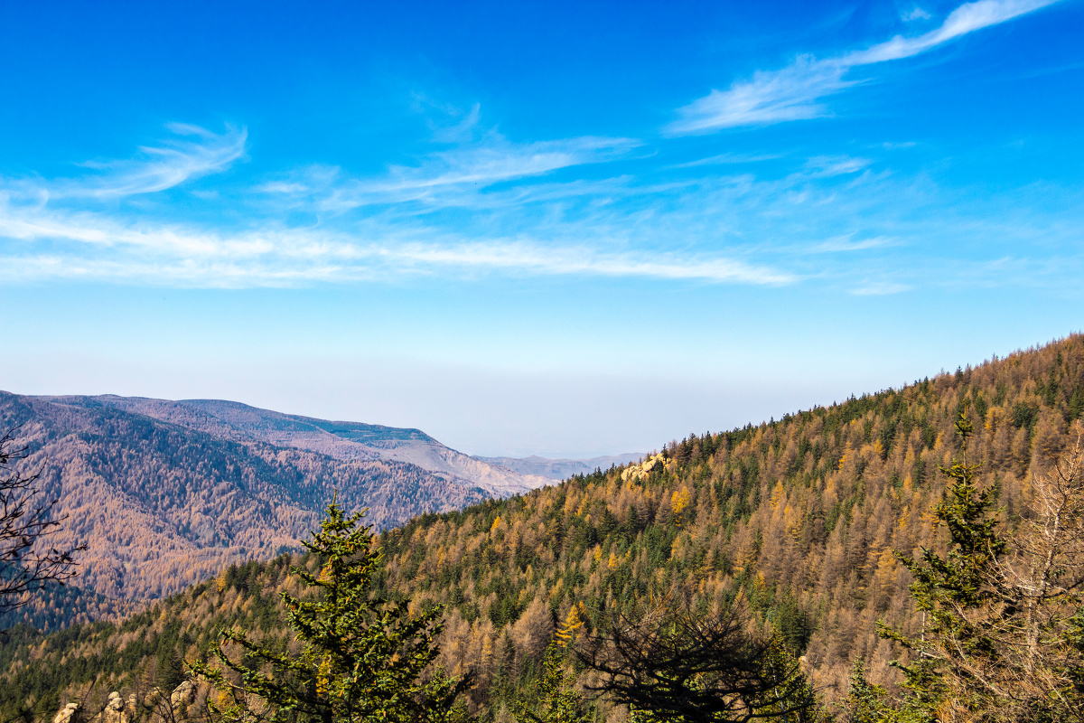 忻州芦芽山风光