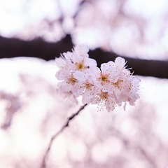 170309_YH_3