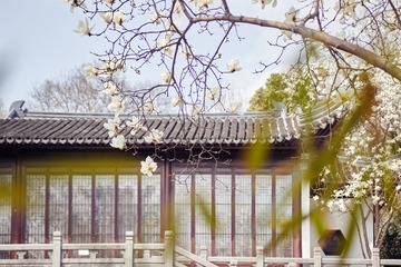 170311_QLS_01