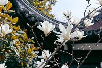 170311_QLS_04