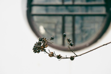 170311_QLS_1