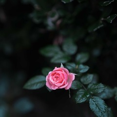 001