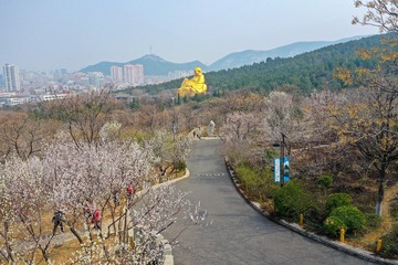 航拍济南千佛山27
