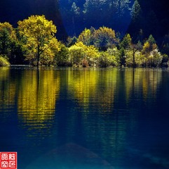 火花海光影