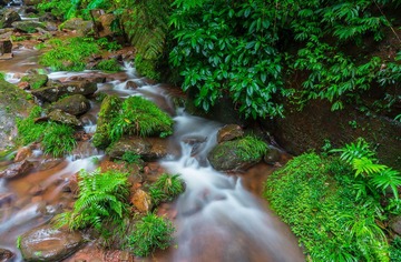 夏日溪水