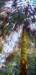 风中摇动的经幡为你祈福2017。