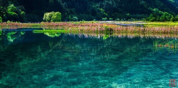 碧水青山绿树
