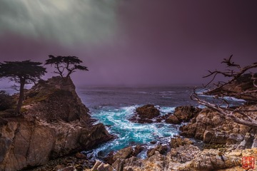 松柏雨雾
