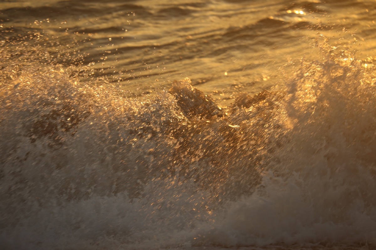 金色的沙滩海浪