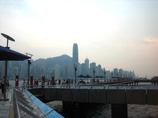 2006 (8)