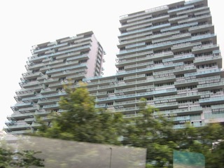 2006 (60)