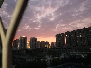 3372155
