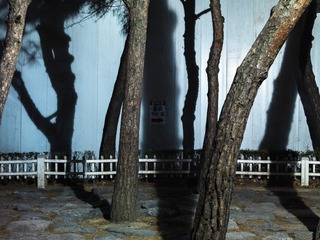 Ahn Jonghyun 韩国《Passage  Future of Land》 (1)
