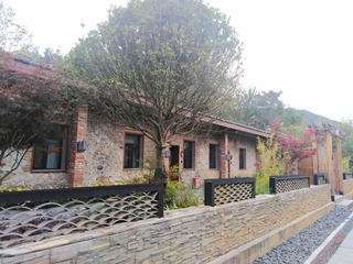 914647