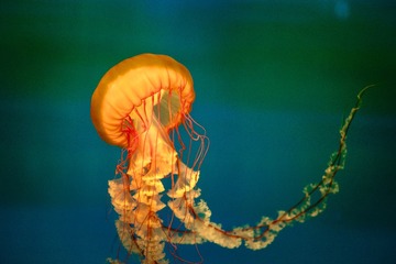 D3B4EE71-9090-44A7-8C29-F5010052A8CE/L0/001