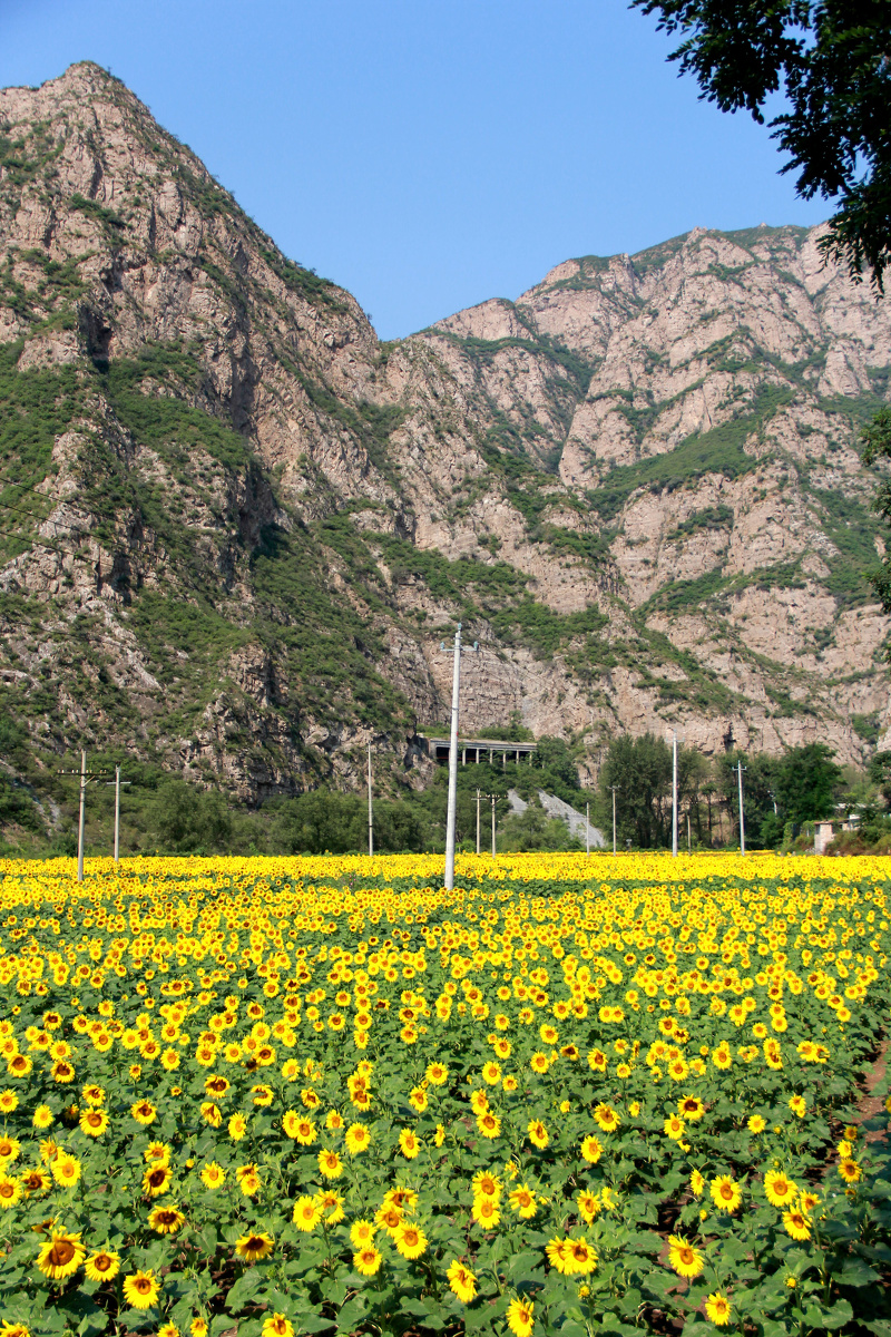 京西珍珠湖景区北京门头沟区雁翅镇珠窝村