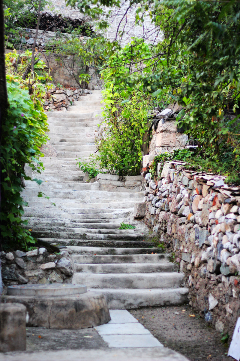 可乐哲 - 图虫摄影网