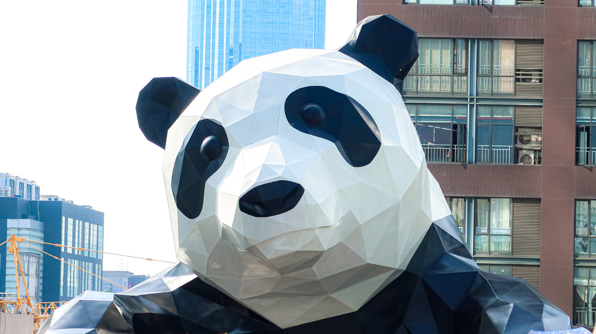 成都ifs爬墙的熊猫