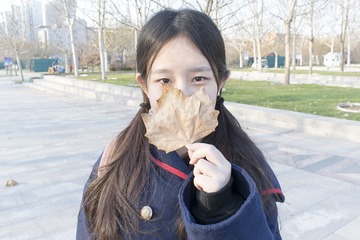 焦美尘2