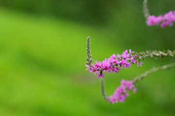680CE610-E0F0-4B9A-A0D1-6B17019B5E50/L0/001