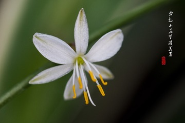 _DSC0881