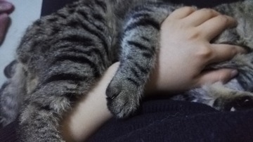 6864