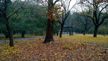 IMG_20160729_065338