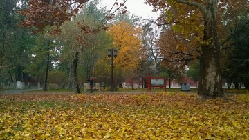 IMG_20160729_064637
