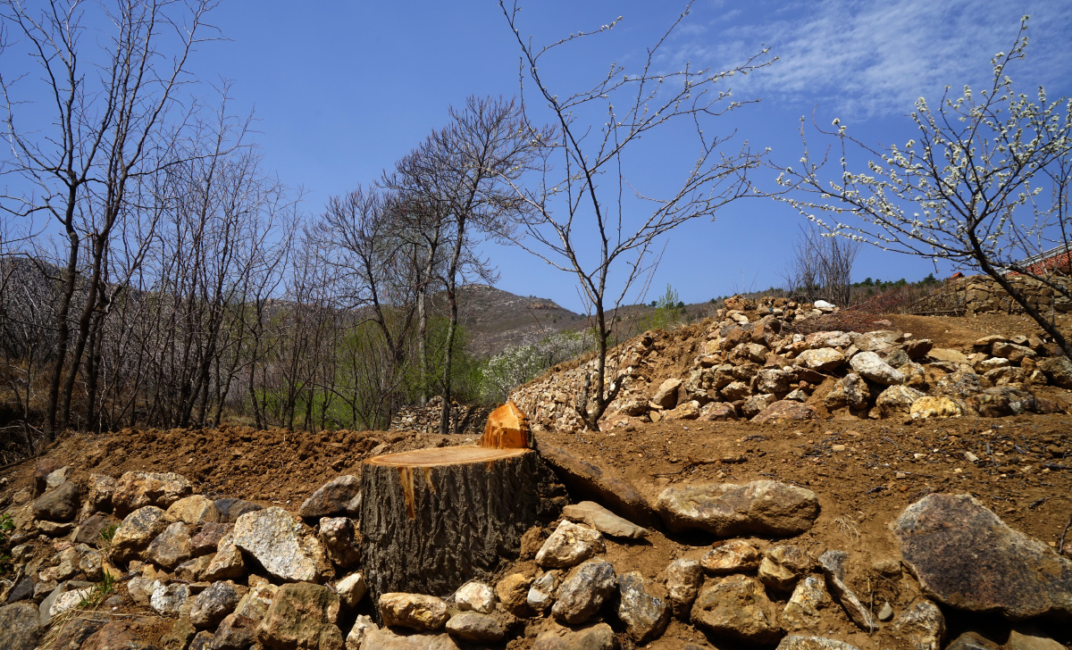 探访辽西尘肺病村