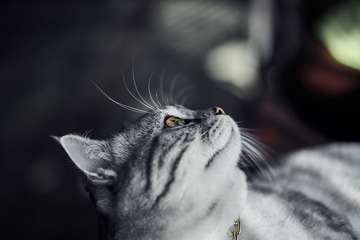 393153