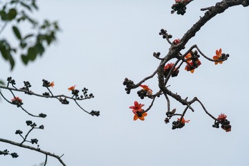 153022