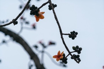 153019